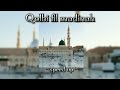 Qalbi fil madinah ( speed up)||beautiful nasheed ❤️