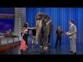 Jeff Musial Introduces Jimmy to an Elephant