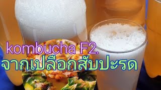 #คอมบูชาF2.จากเปลือกสับปะรดep.110