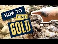 How to Find Gold Every Time.