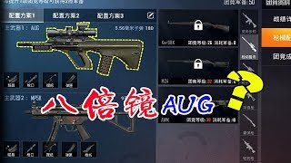 什么？AUG居然可以安装八倍镜了！这是真的吗？