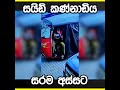 සයිඩ් කණ්නාඩිය සරම අස්සට cctv video