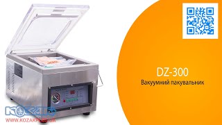 Вакуумная упаковочная машина DZ-300