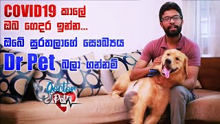 COVID 19 කාලේ ඔබ ගෙදර ඉන්න ඔබේ සුරතලාගේ සෞඛ්‍යය Dr Pet බලා ගන්නම් | Doctor Pet