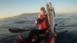 Róbalo de 4 kilos a jigging desde kayak en Galicia. Asturkayak