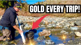 This $20 DIY Pump Finds GOLD Every Single Time!