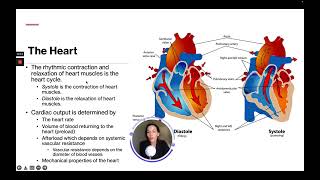 ATI TEAS 7 Science Course | Cardiovascular System