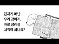 반려동물이 세상을 떠나면, 즉시 장례를 치뤄야 하나요? #QnA