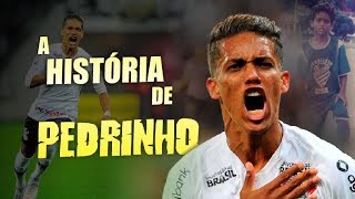 Conheça toda a HISTÓRIA de PEDRINHO (Jóia do Corinthians)