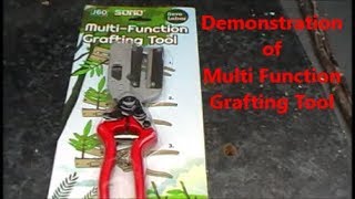 Multi grafting tool