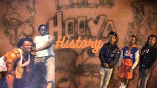 The Evolution of the Hoovers: From Crips Alliance to Criminal Empire
