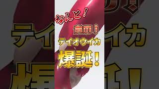 ダイオウイカ復活⁉新スペシャル！テイオウイカ来るぞ！！#shorts