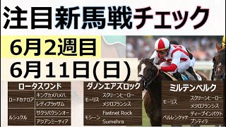 【新馬戦開始】6月11日(日)新馬戦に４億９５００万円馬が登場！ダノンエアズロックの走りに注目！