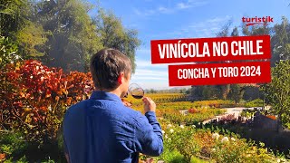 Vinícola Concha y Toro: Como é o tour e a degustação Marqués | Passeios no Chile | 2024