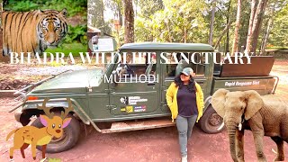 Bhadra Wildlife Sanctuary |Muthodi Forest |Chikmangalur| Experience Nature with me| Gandadagudi