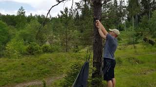 AMAZONAS - Adventure Moskito Hammock Thermo