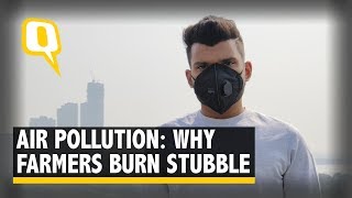 Delhi Air Pollution: Why Punjab & Haryana Burn Stubble Every Year | The Quint