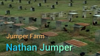 Jumper Farm|Nathan Jumper