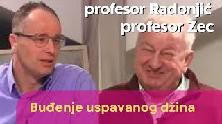 Buđenje uspavanog džina - prof Ognjen Radonjić