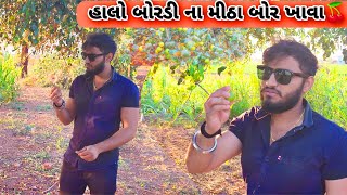 હાલો બોરડી ના મીઠા બોર ખાવા | આ છે ગામડા ની મોજ🤩 | Halo Bor Khava | Balagam Ghed | Village Lifestyle