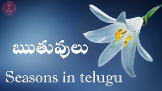 Seasons in Telugu/ ఋతువులు #seasons