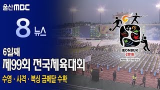 20181017 전국체전) 수영·사격·복싱 금메달 수확