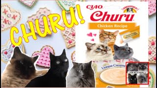 Churu! What is it and which of my cats like it?