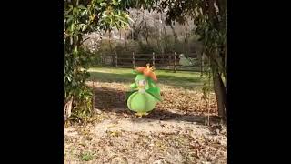 드레디어 ( Lilligant ) ドレディア ( 裙兒小姐 )