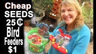 Garden Finds $1 Store Seeds Hummingbird Feeders Container Gardening Dollar Tree Video