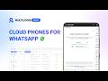 Multiple WhatsApp accounts with cloud phones in Multilogin without bans