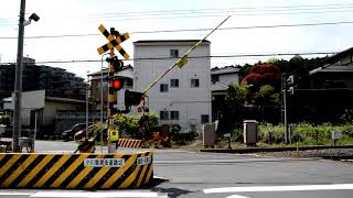 東武東上線 東第315号踏切・JR八高線 小川寄居街道踏切