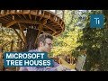 Microsoft's new tree houses are office spaces in the woods