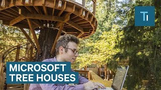 Microsoft's new tree houses are office spaces in the woods