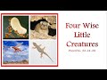 4 Wise little creatures - Proverbs 30: 24-28