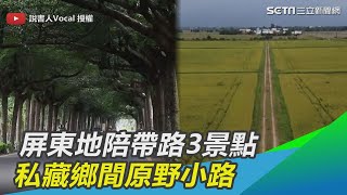 屏東地陪帶路3景點　私藏鄉間原野小路｜三立新聞網SETN.com