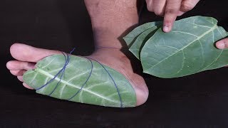 सिर्फ रात में ये एक पता ऐसे लगाले ओर शुगर को जड़ से खत्म करें 100% गारंटी के साथ | Sugar Ka Ilaj