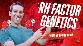 RH Factor Genetics Explained - Why is RH- so rare?