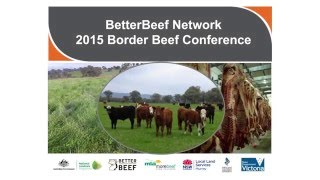 Tim Hollier - Market options – selling beef cattle in the years 2010-2020