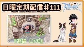 【RO】 雑談しながら遊臨！　ラグ缶新装備出ましたワクワク