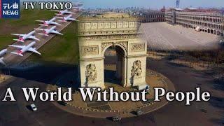 A World Without People