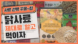 🐤닭사료🐔 제대로 알고 먹이자🍚