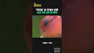 설 앞두고 '물가 걱정' 커지는 서민들 / KNN