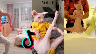 Funny Sphynx Cat😹 [HAIRLESS CAT TIKTOK COMPILATION] ~Part 2