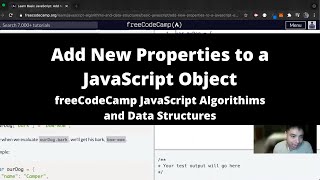 Add New Properties to a JavaScript Object (Basic JavaScript) freeCodeCamp tutorial