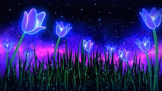 Quiet Night 🎵 Pure Deep Sleep Music 🌸 Soothing Relaxing Music ✧ Theta Waves Sleeping Music