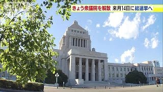 きょう衆議院を解散　来月2日公示、14日投開票へ(14/11/21)