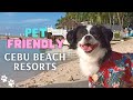 5 CEBU PET FRIENDLY BEACH RESORTS FOR YOUR VACATIONS