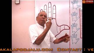 PALMISTRY PART   187 IN HINDI