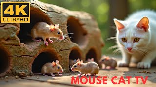 Cat TV games for cats to watch: Ultimate Mice Hide & Seek - 3 Hours of Entertainment - 4K UHD