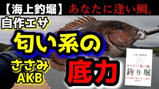 【釣り・海上釣堀】「あなたに逢い鯛。釣り堀」自作餌炸裂！匂い系の底力！？初めてご覧いただいた視聴者さん、はじめまして！おうみ楽釣会青年部と申しますm(__)m